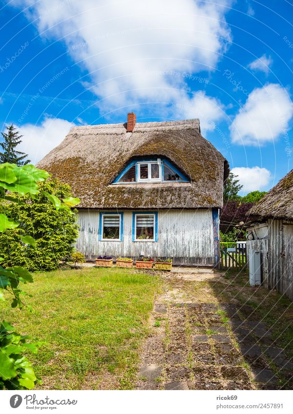 Altes Gebäude auf dem Fischland-Darß in Wiek Erholung Ferien & Urlaub & Reisen Tourismus Haus Wolken Wetter Baum Gras Architektur alt blau grün Idylle Tradition