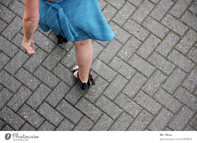 feiern gehen ! elegant Stil ausgehen Haut Arme Gesäß Beine Rock Damenschuhe Feste & Feiern dünn blau Wade Steinplatten Steinboden Schleife Hochzeitsgesellschaft