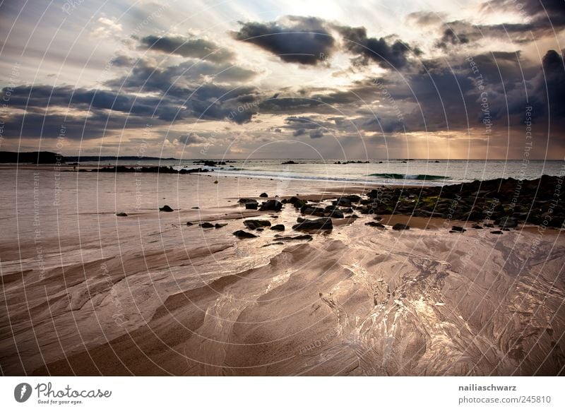 Abend am Meer Ferien & Urlaub & Reisen Sommer Sommerurlaub Strand Wellen Umwelt Natur Landschaft Wasser Himmel Wolken Sonnenaufgang Sonnenuntergang Sonnenlicht