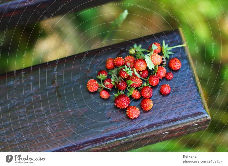 Handful of tiny red wild strawberries. Lebensmittel Frucht Dessert Marmelade Ernährung Büffet Brunch Picknick Fingerfood Sommer Pflanze Wildpflanze Essen