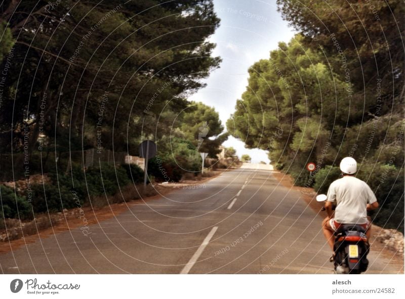 Ausflug Ferien & Urlaub & Reisen Allee Baum Mallorca Sommer Straße Kleinmotorrad Berge u. Gebirge aufwärts hoch