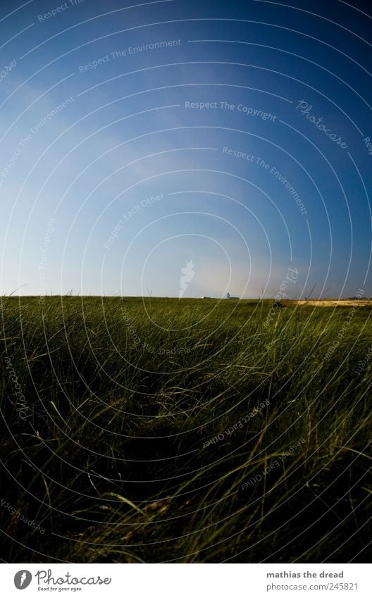 DÄNEMARK - VIII Umwelt Landschaft Pflanze Luft Himmel Wolken Horizont Sommer Schönes Wetter Wind Gras Sträucher Moos Wiese Feld Menschenleer Haus Kirche schön