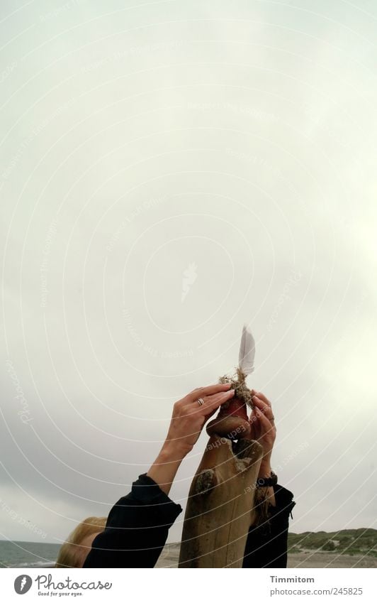 Beschwörung Ferien & Urlaub & Reisen Sommerurlaub Strand Meer Frau Erwachsene Partner Hand 1 Mensch Natur Sand Wolken schlechtes Wetter Nordsee Dänemark Holz