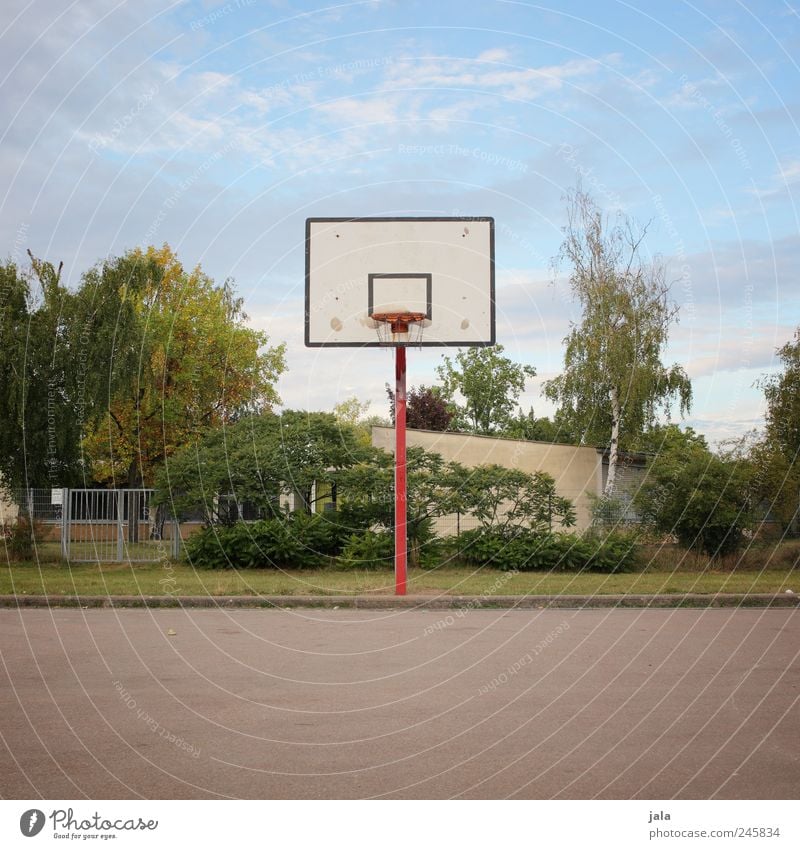 korb Freizeit & Hobby Sport Ballsport Basketballkorb Basketballplatz Umwelt Natur Himmel Pflanze Baum Gras Sträucher Platz Farbfoto Außenaufnahme Menschenleer