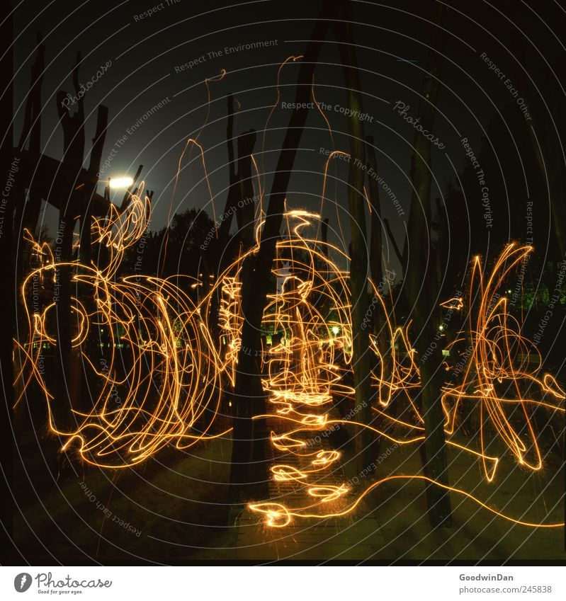 was für eine Nacht Umwelt Natur Stadtzentrum Altstadt Menschenleer Spielplatz Bewegung dunkel authentisch frei frisch kalt trist viele verrückt wild Farbfoto