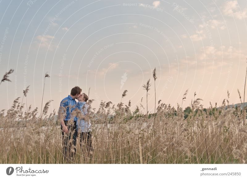 Es ist vollbracht Mensch maskulin Frau Erwachsene Paar Partner Leben 2 Umwelt Landschaft Himmel Wolken Schönes Wetter Pflanze Küssen Gefühle Glück Lebensfreude