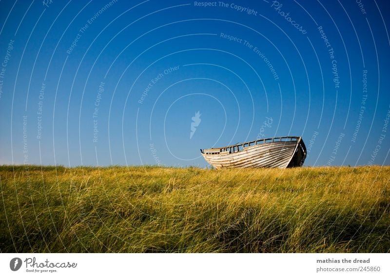 DÄNEMARK - XII schön Sommer Umwelt Natur Landschaft Pflanze Luft Himmel Wolken Horizont Schönes Wetter Wind Gras Moos Wiese Bootsfahrt Fischerboot alt liegen