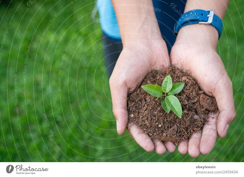 Kinder pflanzen einen Baum Leben Garten Erfolg Gartenarbeit Business Baby Hand Umwelt Natur Pflanze Erde Blatt Wald Tropfen Wachstum frisch klein natürlich neu