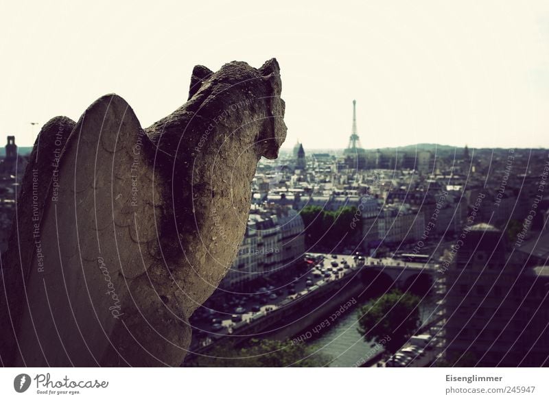 Den Eiffelturm fest im Blick Hauptstadt Altstadt Denkmal Tour d'Eiffel Notre-Dame Stein Beton Aggression ästhetisch dunkel hässlich historisch Paris Frankreich