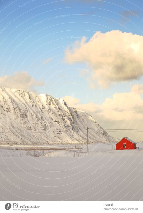 rotes Haus-norwegen Erholung Ferien & Urlaub & Reisen Meer Insel Winter Schnee Berge u. Gebirge Natur Landschaft Schneefall Baum Hügel Küste Fjord blau weiß