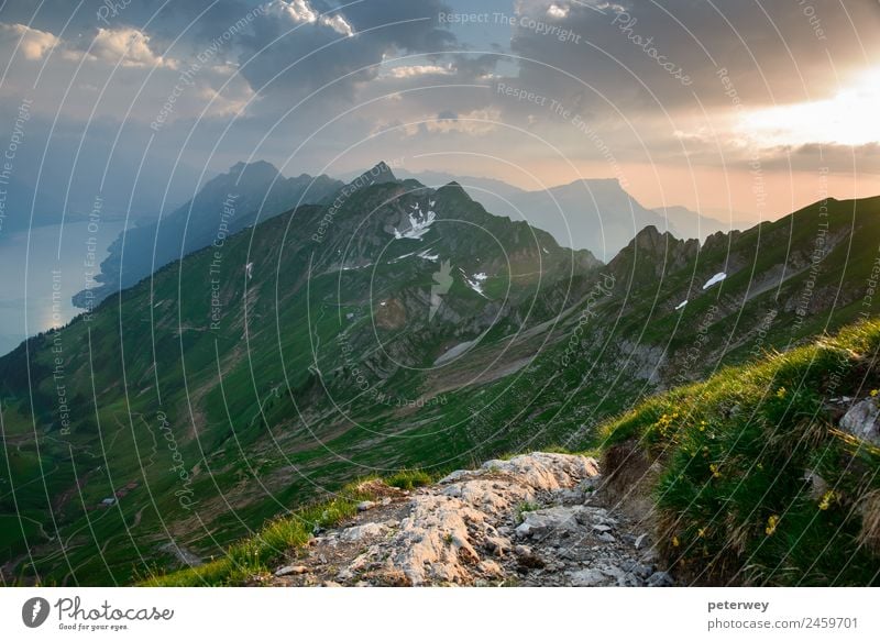 Panoramic mountain view from Brienzer Rothorn at Sunset Ausflug wandern Natur Landschaft Wolken Gras Alpen Berge u. Gebirge gelb grün Stimmung Bern above alpin