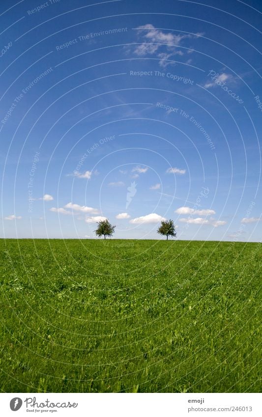 Annäherung Natur Landschaft Himmel Sommer Schönes Wetter Baum Gras Wiese Feld blau grün einfach 2 natürlich Farbfoto Außenaufnahme Menschenleer