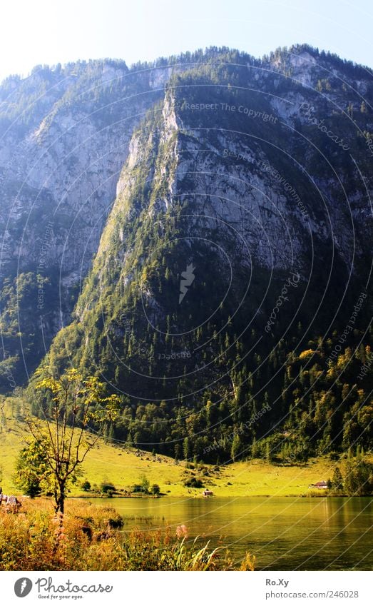 Am Ende des Königssees... Ferien & Urlaub & Reisen Tourismus Ausflug Sommer Berge u. Gebirge wandern Natur Landschaft Wasser Gipfel Seeufer Salet