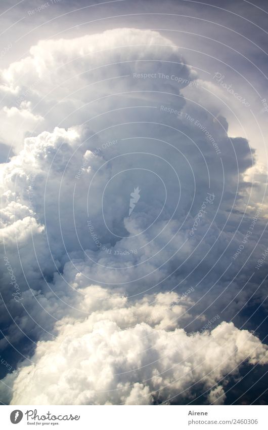 Haufen Wolken Himmel Wetter bedrohlich gigantisch groß natürlich viele blau grau weiß gefährlich Respekt Feindseligkeit chaotisch Natur Farbfoto Menschenleer