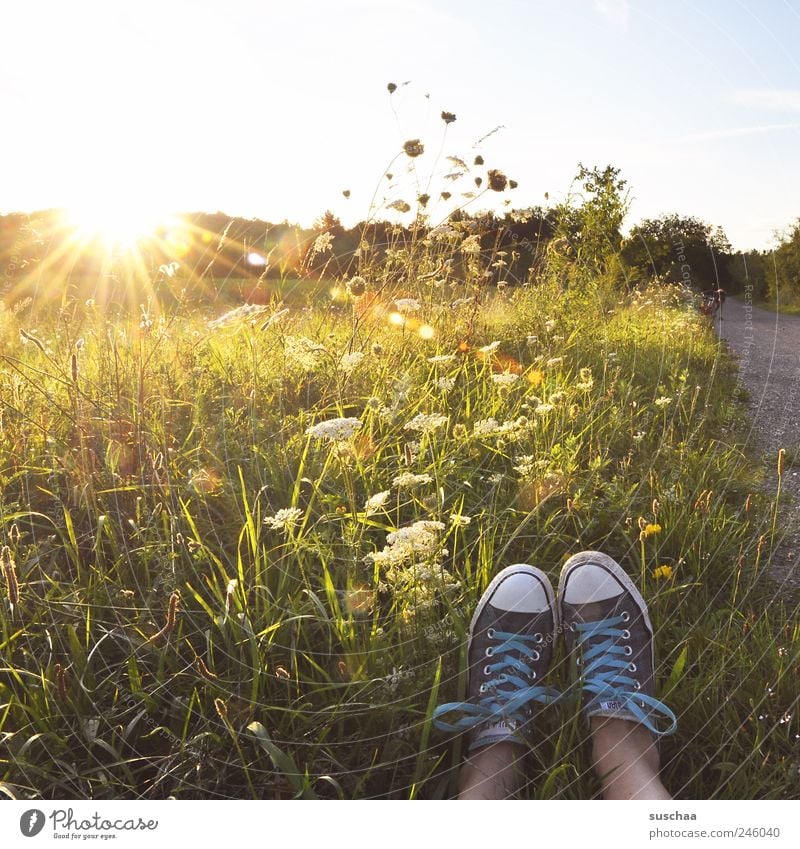 wegelagerer Beine Fuß 1 Mensch Umwelt Natur Landschaft Himmel Sommer Klimawandel Schönes Wetter Wiese Feld Freude einzigartig Sonne Gras Kreuter Blumen