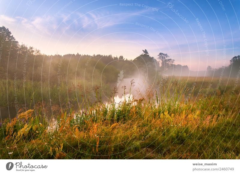 Morgens nebliger Fluss. Sommer nebliger Sonnenaufgang schön Ferien & Urlaub & Reisen Tourismus Ausflug Abenteuer Natur Landschaft Urelemente Erde Luft Wasser