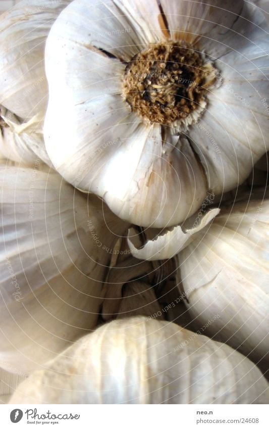 Knoblauch Gemüse Kräuter & Gewürze Ernährung Gesundheit Leben Küche Essen braun grau weiß Knolle Knoblauchknolle Würzig Lebensmittel kochen & garen