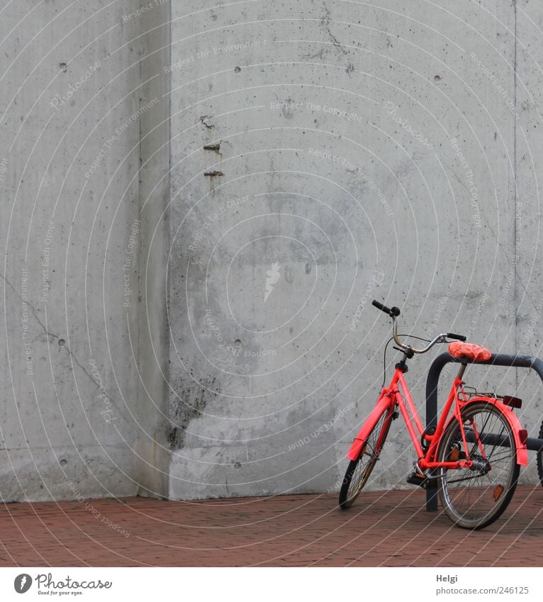 poppig aufgemotzt... Mauer Wand Verkehrsmittel Wege & Pfade Fahrzeug Fahrrad Stein Beton Metall stehen außergewöhnlich dunkel einfach einzigartig Kitsch retro