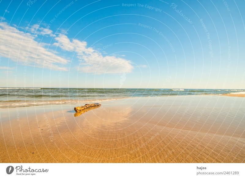 Treibholz am Strand Ferien & Urlaub & Reisen Sommer Sand Ostsee Tourismus Meer Ozean Brandung Wellen Himmel blau Wolken Wetter schön leer einsam erholen