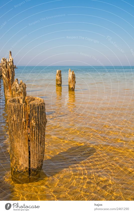 alte Buhnen in der Ostsee Sommer Strand Post Natur Sand maritim Idylle Tourismus Holzpfahl verrotten Pfähle Mole verfallen Kriegsmole Meer Himmel blau Urlaub