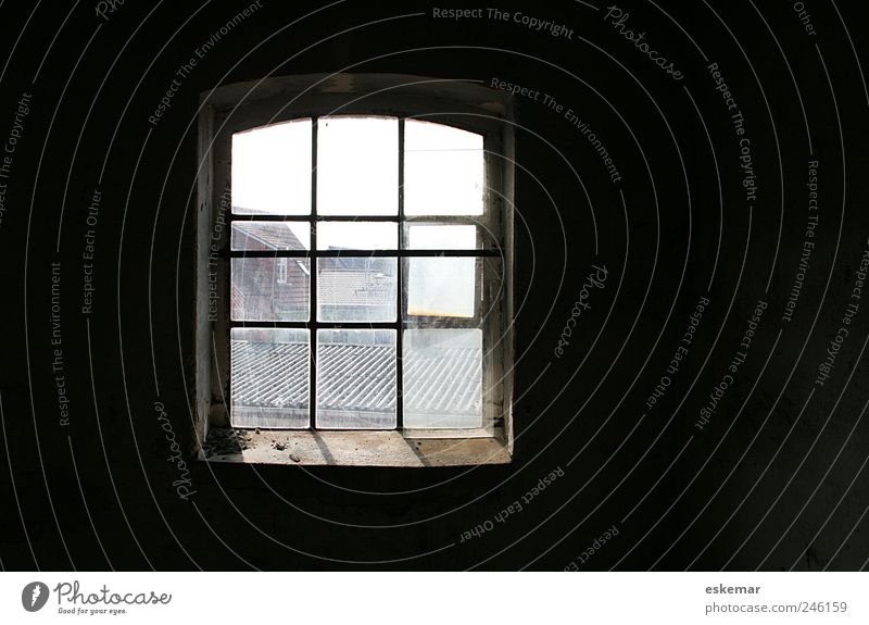 Fenster Wohnung Raum Dachboden Altstadt Menschenleer Haus Bauwerk Gebäude Mauer Wand Dachfenster Innenhof alt ästhetisch authentisch retro grau schwarz Stimmung