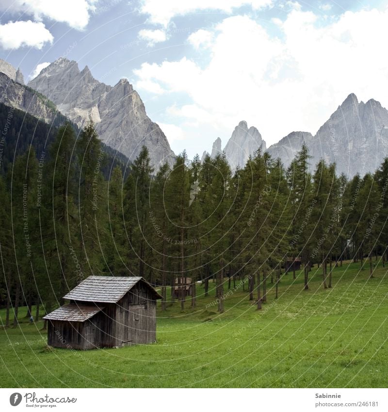 Wanderurlaub Umwelt Natur Urelemente Himmel Wolkenloser Himmel Sonnenlicht Klima Schönes Wetter Pflanze Baum Gras Wiese Wald Felsen Alpen Berge u. Gebirge