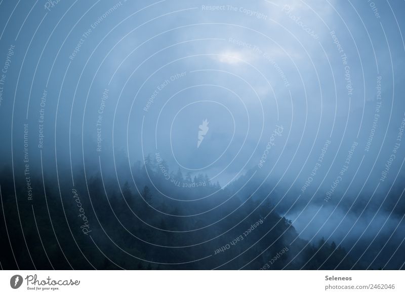 Frühnebel Ausflug Ferne Freiheit Berge u. Gebirge wandern Umwelt Natur Landschaft Wolken Sonnenaufgang Sonnenuntergang Wetter Nebel Alpen natürlich Farbfoto