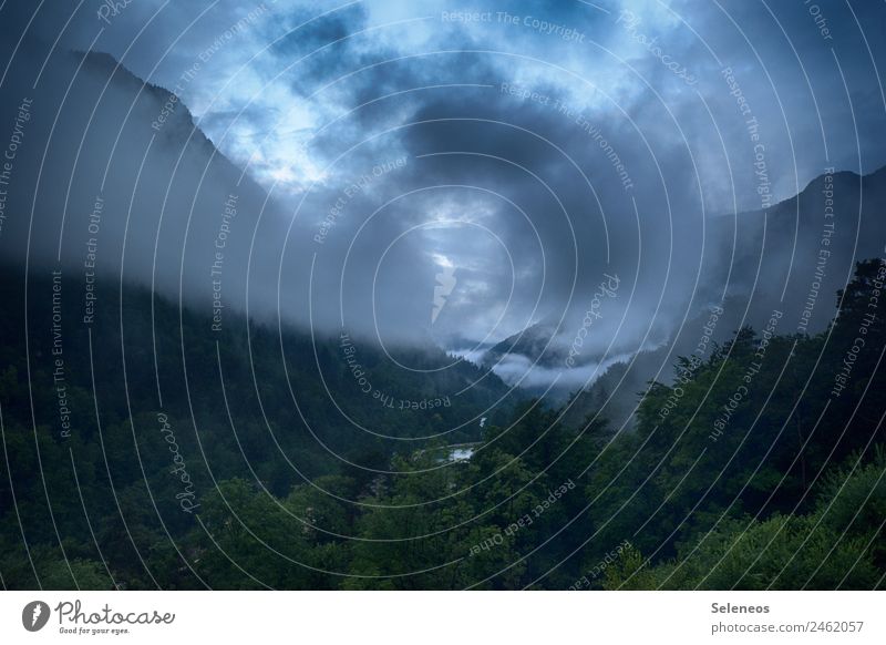 Morgennebel Ferien & Urlaub & Reisen Tourismus Ausflug Abenteuer Ferne Berge u. Gebirge wandern Umwelt Natur Landschaft Wolken Nebel Alpen Erholung kalt