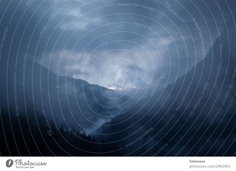 Guten Morgen Berge u. Gebirge Nebel Nebelstimmung Nebelbank Nebelmeer Nebelschleier Wolken Nebelfeld Nebelwand Natur Landschaft Nebelwald Farbfoto Nebeldecke