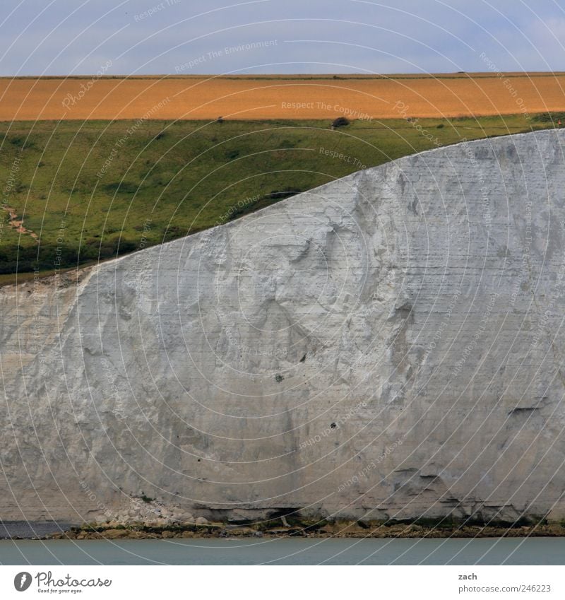 Dover Natur Landschaft Wasser Pflanze Gras Hügel Felsen Küste Nordsee Meer Ärmelkanal White Cliffs Klippe Kreidefelsen Sehenswürdigkeit Stein Sand weiß Farbfoto