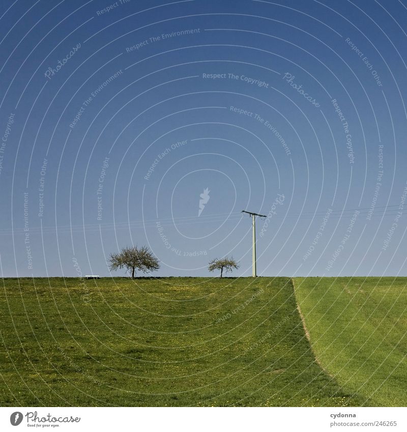 Klare Verhältnisse harmonisch Wohlgefühl Erholung ruhig Ausflug Ferne Freiheit Umwelt Natur Landschaft Wolkenloser Himmel Frühling Sommer Baum Wiese Feld