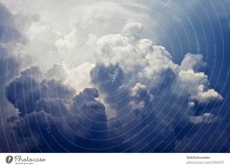 Cumulus Umwelt Natur Urelemente Himmel nur Himmel Wolken Gewitterwolken Sommer Wetter schlechtes Wetter Unwetter Wind Regen außergewöhnlich nass blau weiß