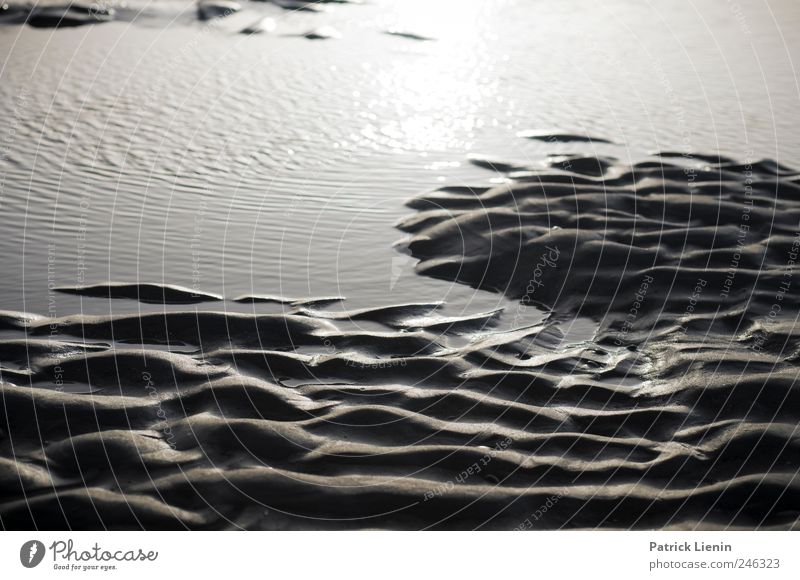 sound of water | Spiekeroog Ferien & Urlaub & Reisen Ausflug Freiheit Sommer Strand Meer Umwelt Natur Landschaft Wasser Wetter Küste nass wild ästhetisch