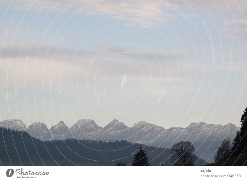 himmlische aussichten Umwelt Natur Landschaft Pflanze Himmel Alpen Berge u. Gebirge Churfirsten Schneebedeckte Gipfel ästhetisch Zufriedenheit zart Farbfoto