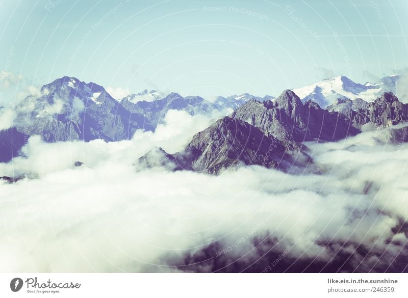 üüber den wolken Ausflug Ferne Freiheit Expedition Berge u. Gebirge wandern Klettern Bergsteigen Umwelt Natur Landschaft Himmel Wolkenloser Himmel Sommer