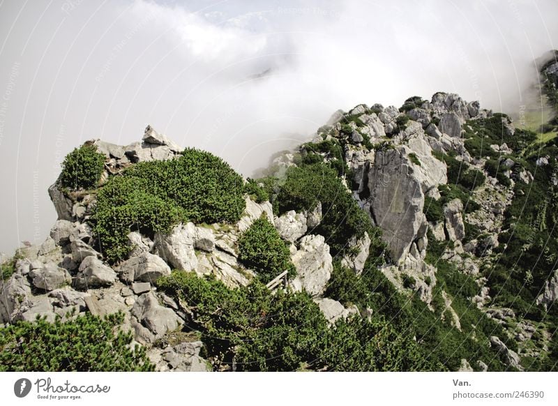 Gratwanderung Ferien & Urlaub & Reisen Tourismus Ausflug Freiheit Sommerurlaub Berge u. Gebirge Klettern Bergsteigen Umwelt Natur Landschaft Pflanze Erde Luft