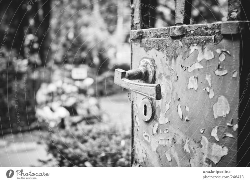 vergangen Natur Berlin-Friedenau Park Tür Tor Griff Metall Rost alt dreckig gruselig Ende Vergänglichkeit verfallen Friedhof Schwarzweißfoto Außenaufnahme