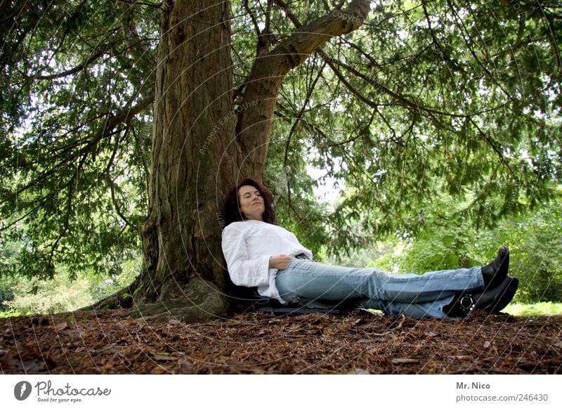 päusken Frau Erwachsene Beine Umwelt Natur Erde Pflanze Baum Park Wald Hemd Jeanshose Stiefel langhaarig Erholung genießen liegen träumen Schutz Geborgenheit