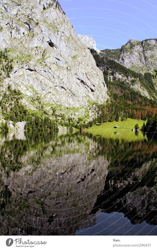 Spieglein, Spieglein... Erholung ruhig Ausflug Freiheit Sommer Berge u. Gebirge wandern Natur Landschaft Pflanze Wolkenloser Himmel Baum Sträucher Wiese Felsen