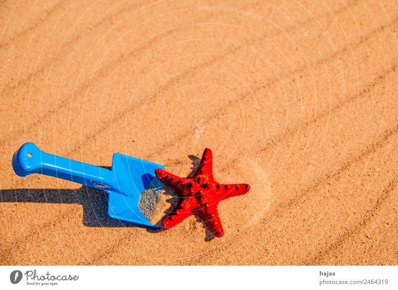 Sandstrand mit Spiezeugschaufel und Seestern Freude Erholung Ferien & Urlaub & Reisen Sommer Strand Kind Ostsee Meer gelb Tourismus Schaufel blau Spielzeug