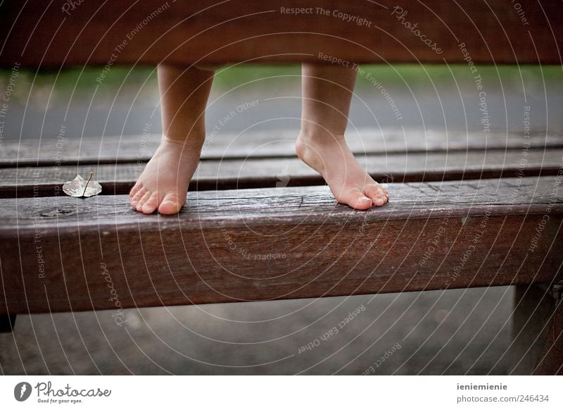 Tip Toe Baby Kleinkind Kindheit Leben Beine Fuß 1 Mensch 0-12 Monate Schönes Wetter Blatt Park Menschenleer Holz Blick Spielen stehen Wachstum Freundlichkeit