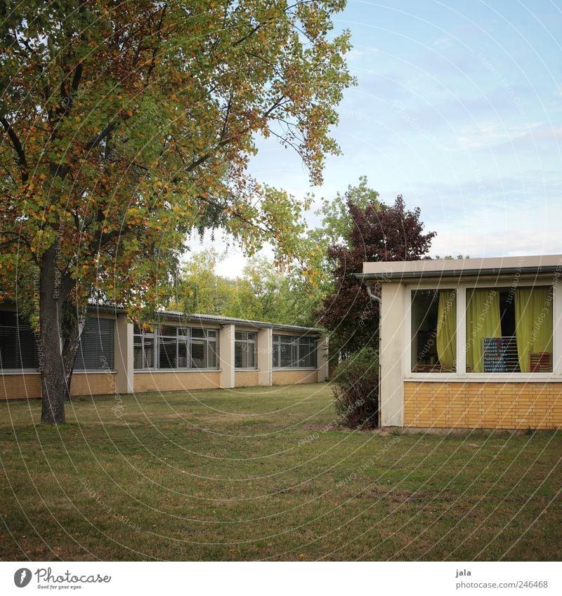 schule Natur Himmel Pflanze Baum Gras Sträucher Grünpflanze Wiese Haus Bauwerk Gebäude Mauer Wand Fenster Farbfoto Außenaufnahme Menschenleer Tag