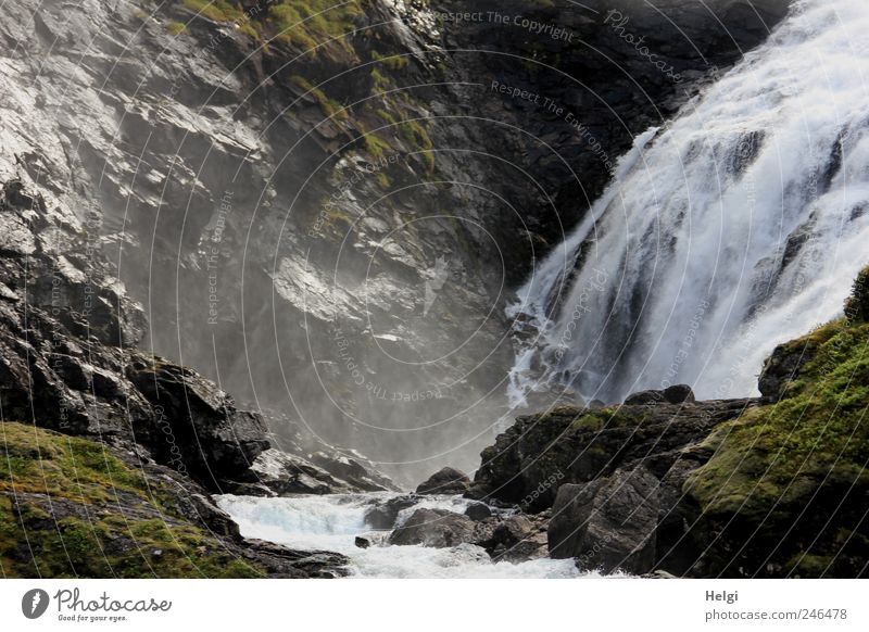 Naturgewalten Ferien & Urlaub & Reisen Tourismus Sightseeing Sommer Berge u. Gebirge Umwelt Landschaft Pflanze Urelemente Wasser Klima Schönes Wetter Moos