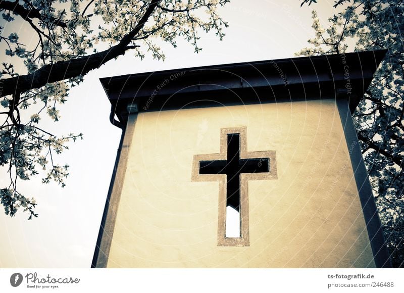 busstop to heaven? Pflanze Baum Gebäude Stein Beton Zeichen Religion & Glaube Kapelle Bushaltestelle Kreuz Jesus Christus Christentum Wand Kirche Kirchenfenster