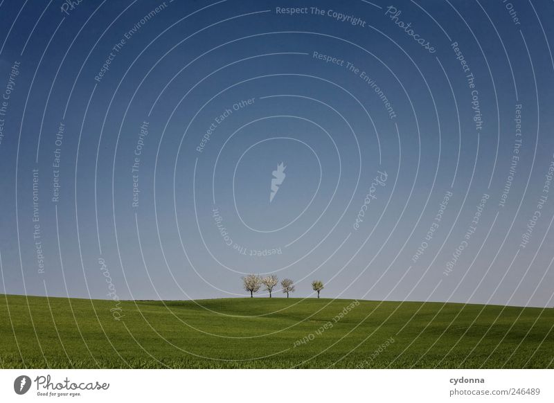 Wenn die Welt nur so einfach wäre harmonisch Wohlgefühl Erholung ruhig Ausflug Ferne Freiheit Umwelt Natur Landschaft Wolkenloser Himmel Frühling Sommer Baum