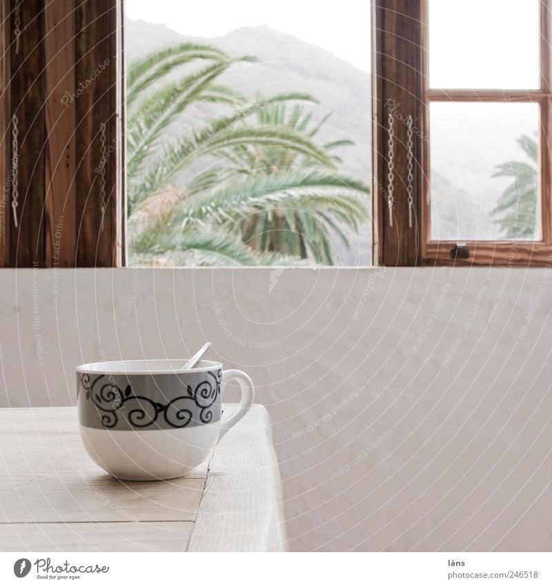 kaffeepause Kaffee Tasse Ferienhaus Tisch Raum ruhig Fenster offen Palme Gomera Farbfoto Innenaufnahme Menschenleer Textfreiraum rechts Tag