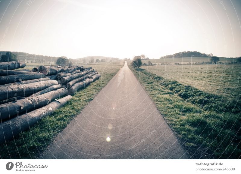 The Road that gave me the Blues Landwirtschaft Forstwirtschaft Umwelt Landschaft Pflanze Baum Menschenleer Verkehr Verkehrswege Straßenverkehr Autofahren