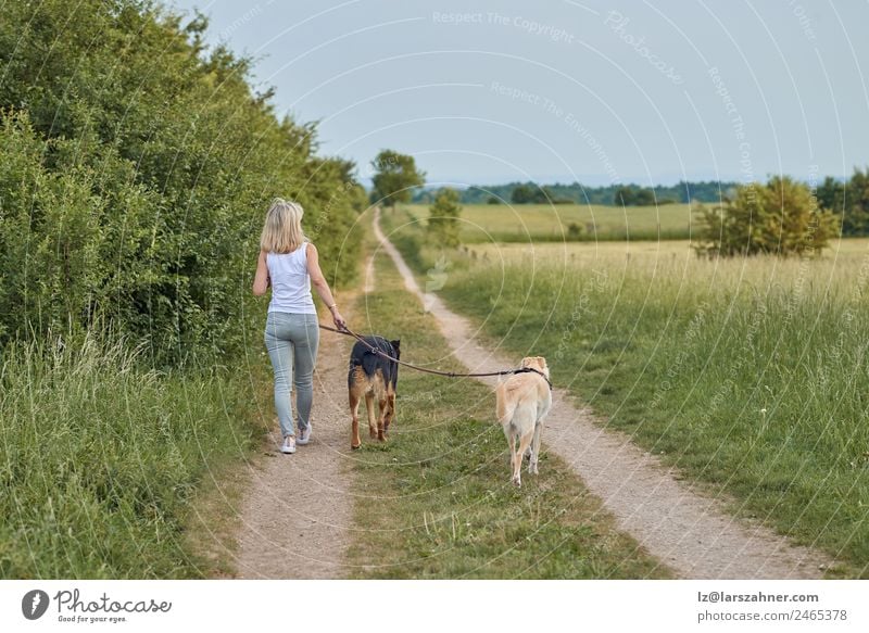 Junge blonde Frau geht mit ihren beiden Hunden spazieren. Lifestyle Glück schön Sommer Erwachsene Freundschaft 1 Mensch Natur Tier Wärme Gras Park Haustier