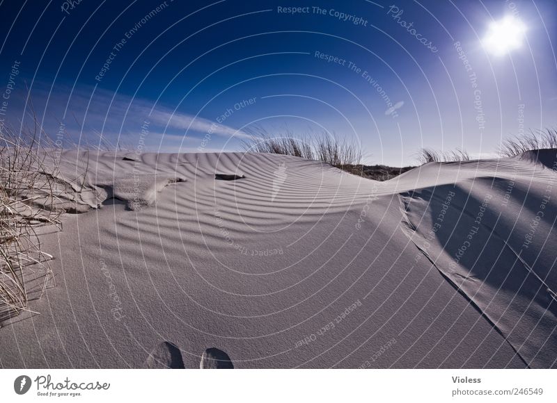 Spiekeroog | ...deep blue Umwelt Landschaft Sand Himmel Sonne Sonnenlicht Schönes Wetter Strand Nordsee entdecken Erholung Insel Düne blau Farbfoto