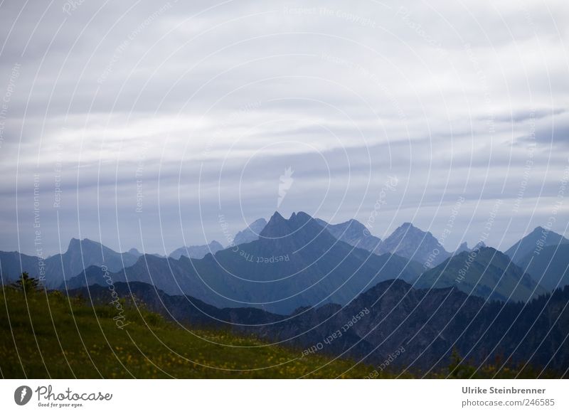 Zickzack Natur Landschaft Himmel Wolken Sommer schlechtes Wetter Gras Hügel Felsen Alpen Berge u. Gebirge Allgäuer Alpen Bayern Fellhorn Gipfel stehen dunkel